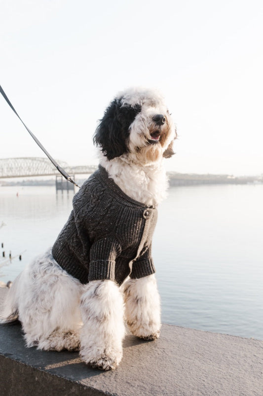 BESPOKE PAWS - Brooklyn Cashmere Cardigan, Charcoal