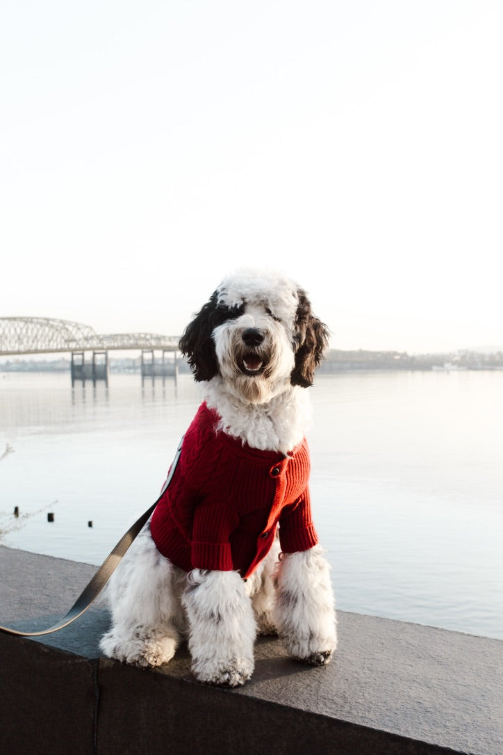 BESPOKE PAWS - Brooklyn Cashmere Cardigan, Garnet