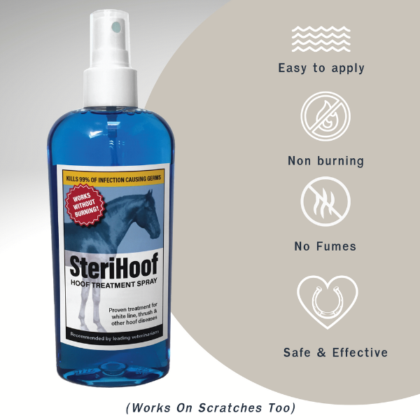 Ice Horse - Abscess Relief Kit