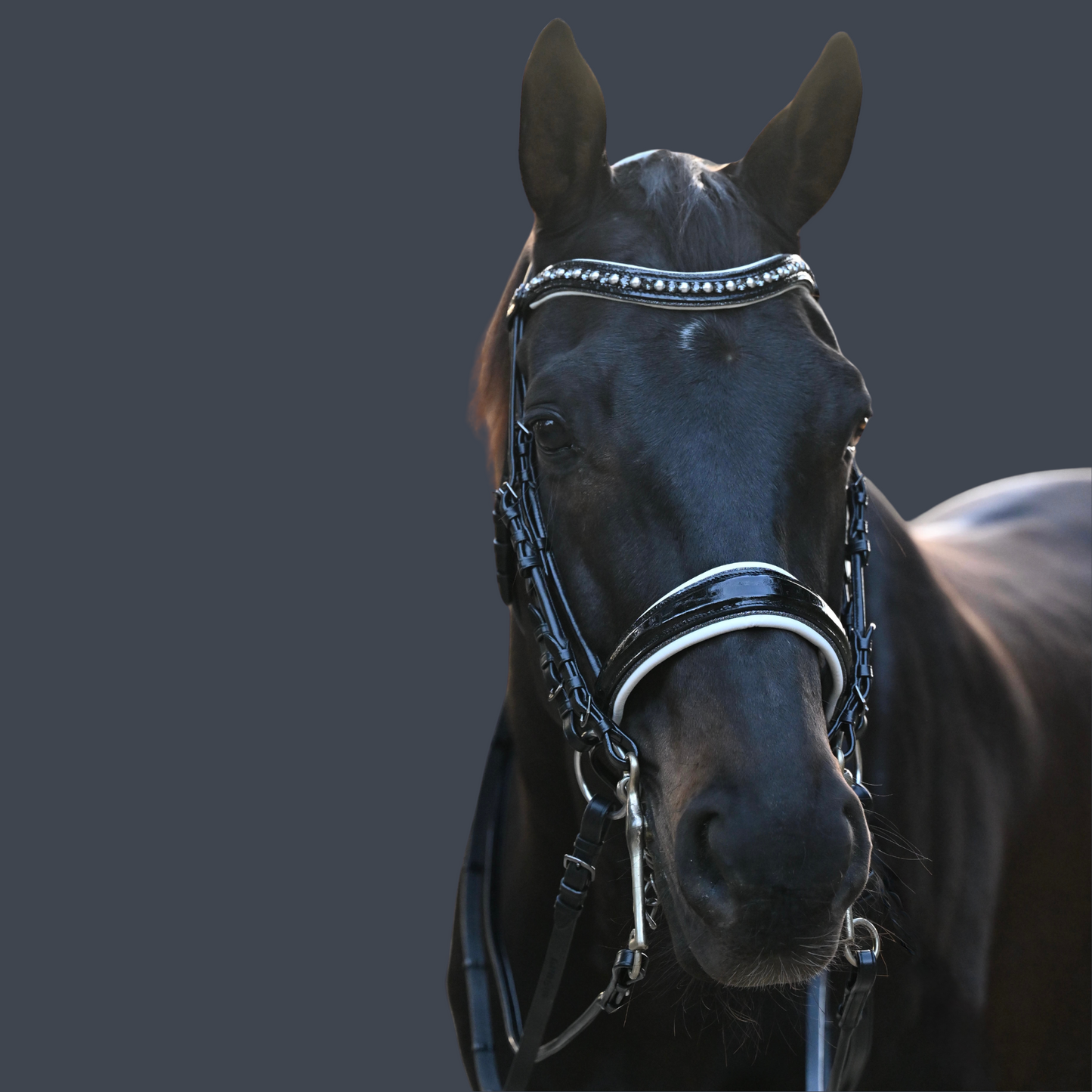 Halter Ego - The Harlow Black Rolled Leather Double Bridle