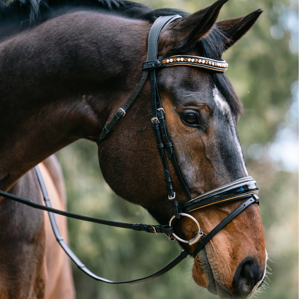 Halter Ego - Geneva - Black Patent Snaffle Bridle with Metallic Gold Piping