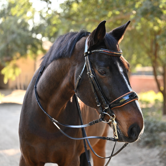 Halter Ego - The Tuscany Black Patent Leather Double Bridle