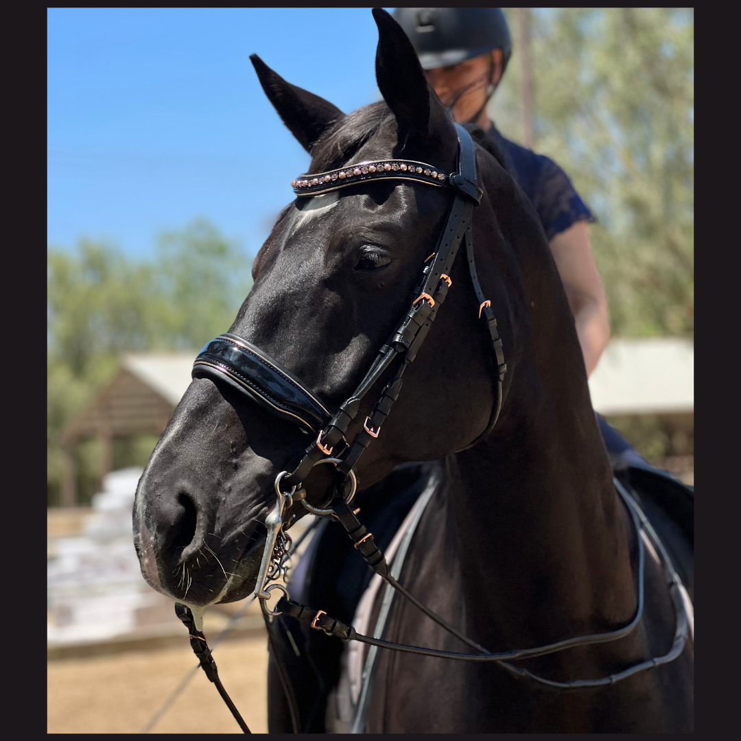 Halter Ego - Aurelia Rose Gold Black Patent Double Bridle