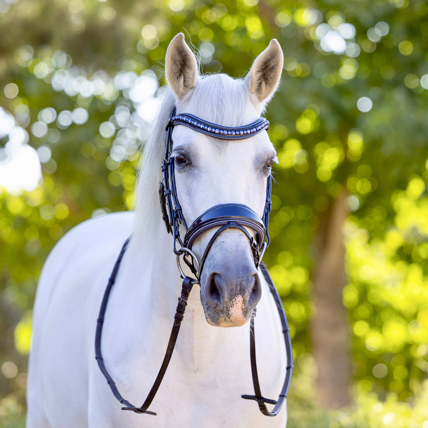 Halter Ego - The Bluebell - Navy Patent Leather Snaffle Bridle with REMOVABLE FLASH