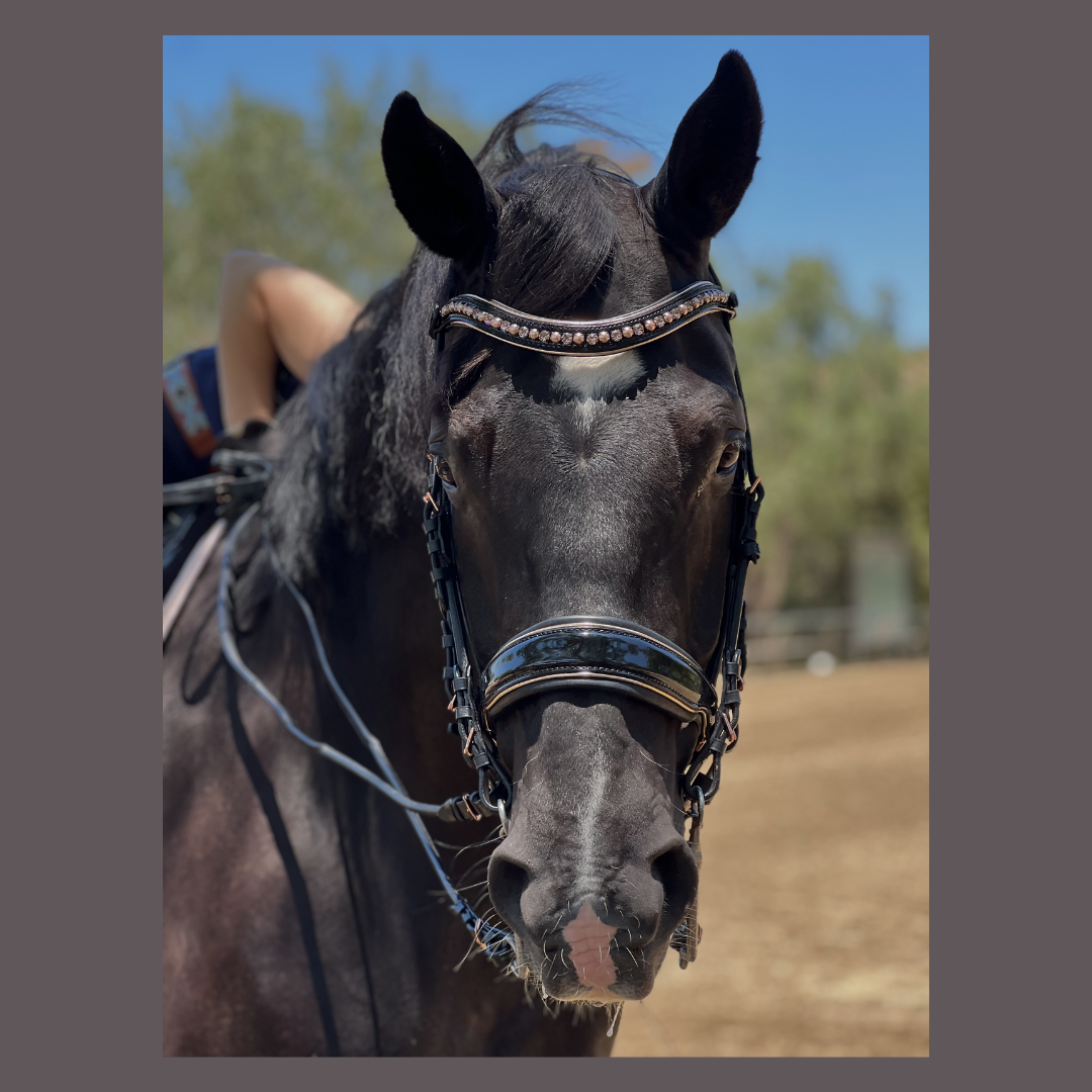 Halter Ego - Aurelia Rose Gold Black Patent Double Bridle
