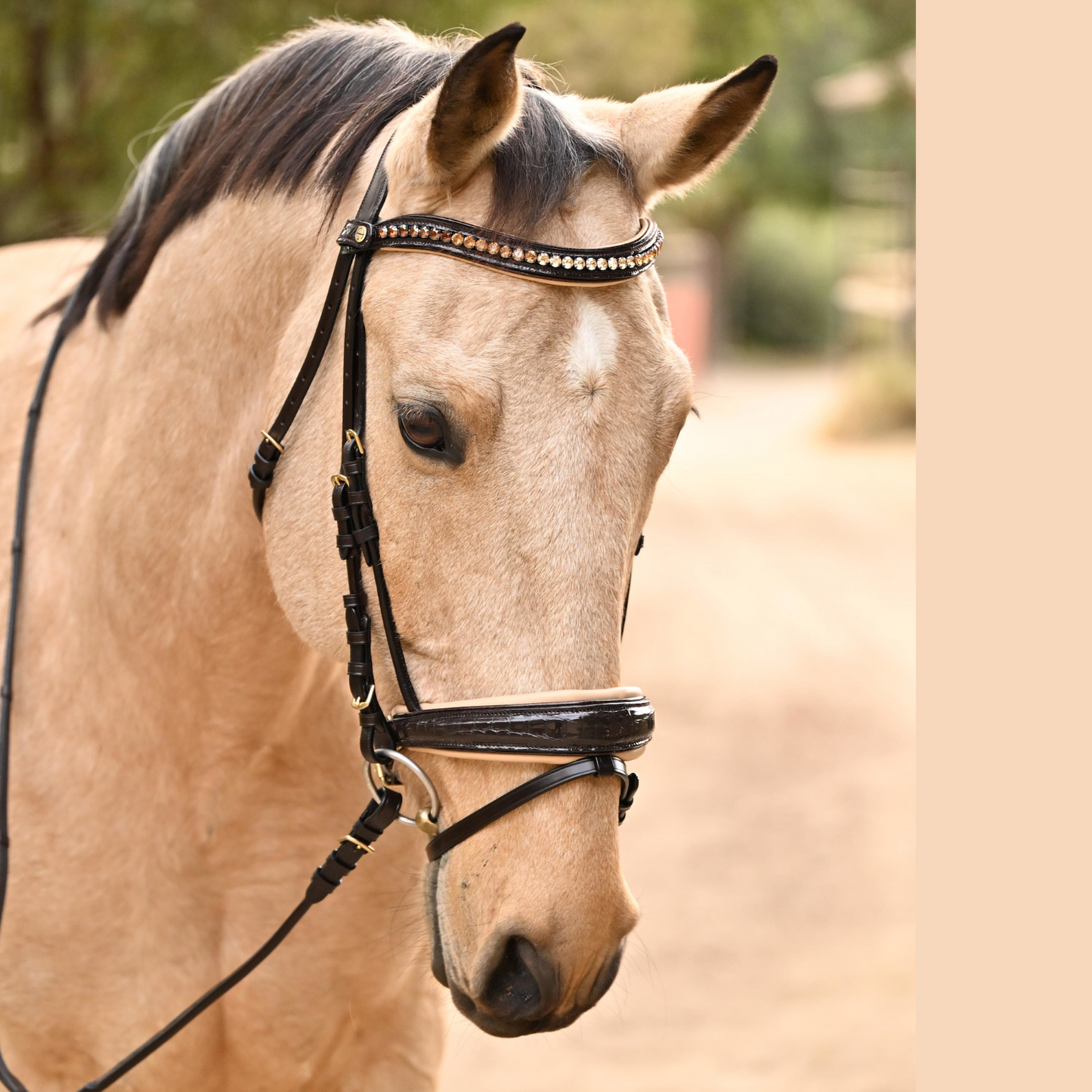 Halter Ego - The Vienna Brown Patent Leather Snaffle Bridle with Bronze Golden Sparkle Piping