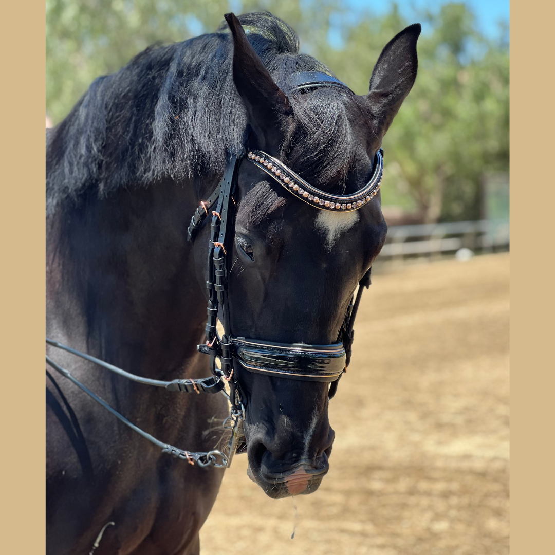 Halter Ego - Aurelia Rose Gold Black Patent Double Bridle