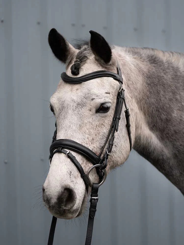 Grewal Equestrian - Viper Snakeskin-Embossed Monocrown Bridle