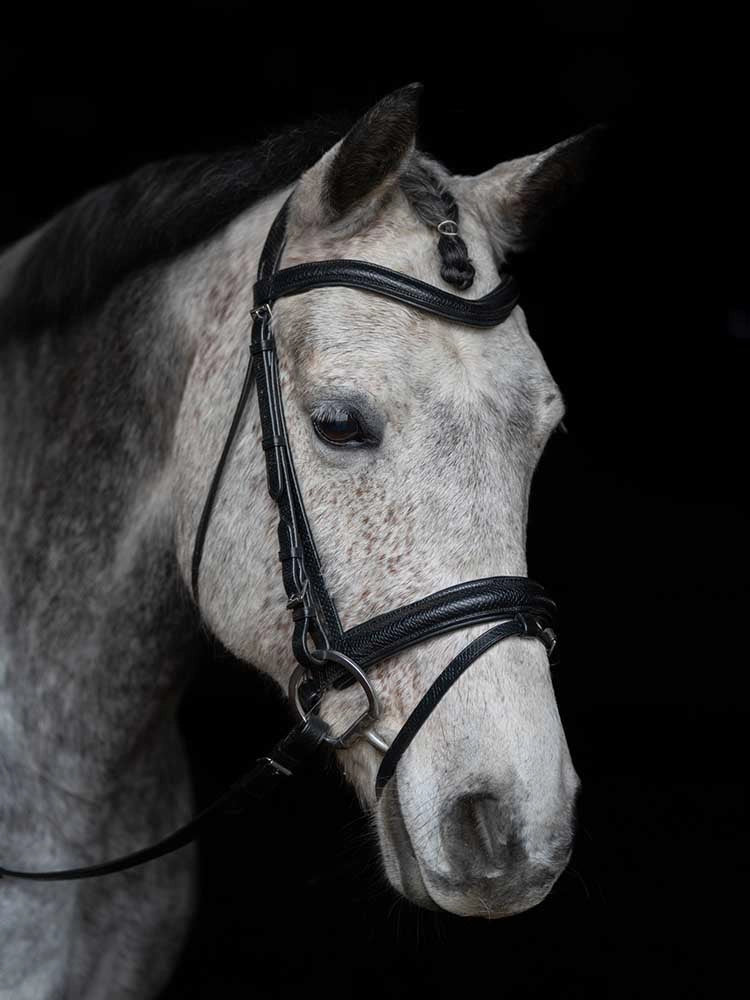 Grewal Equestrian - Viper Snakeskin-Embossed Monocrown Bridle