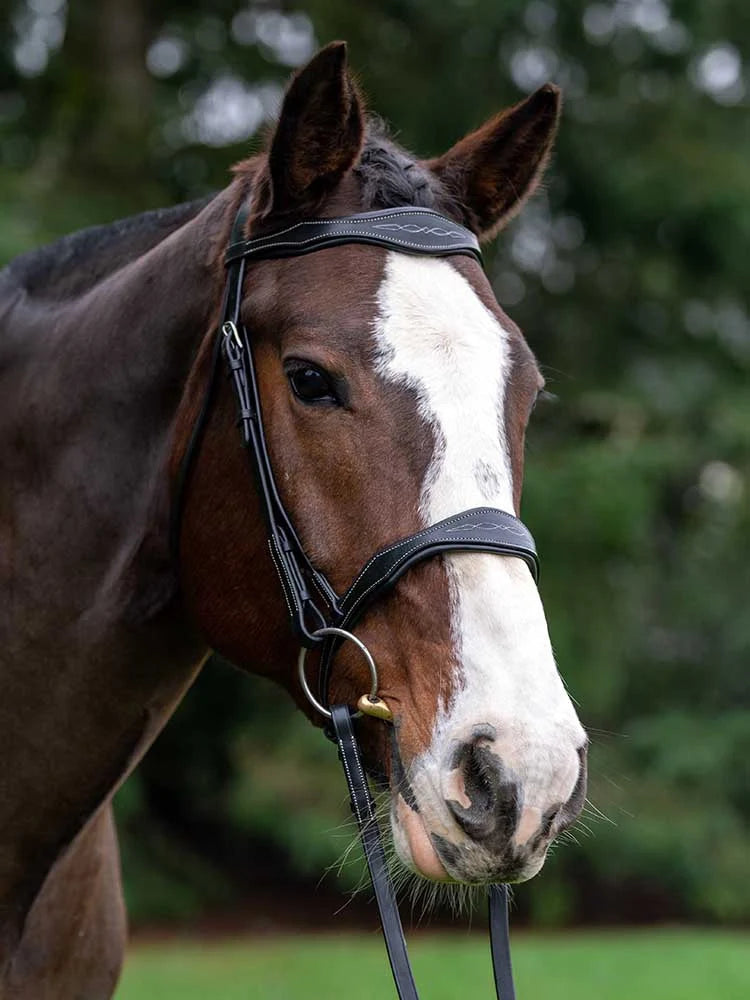 Grewal Equestrian - Vogue Scalloped Bridle