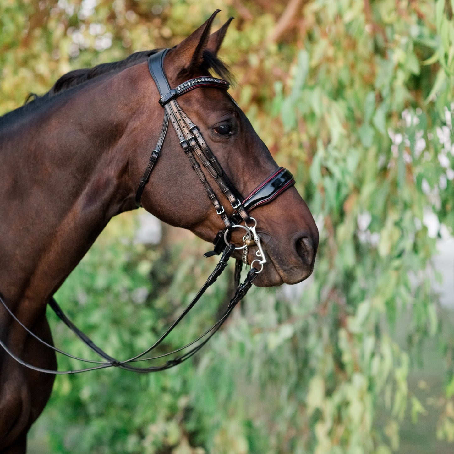 Halter Ego - The Hayworth Double - Black Patent Double Bridle