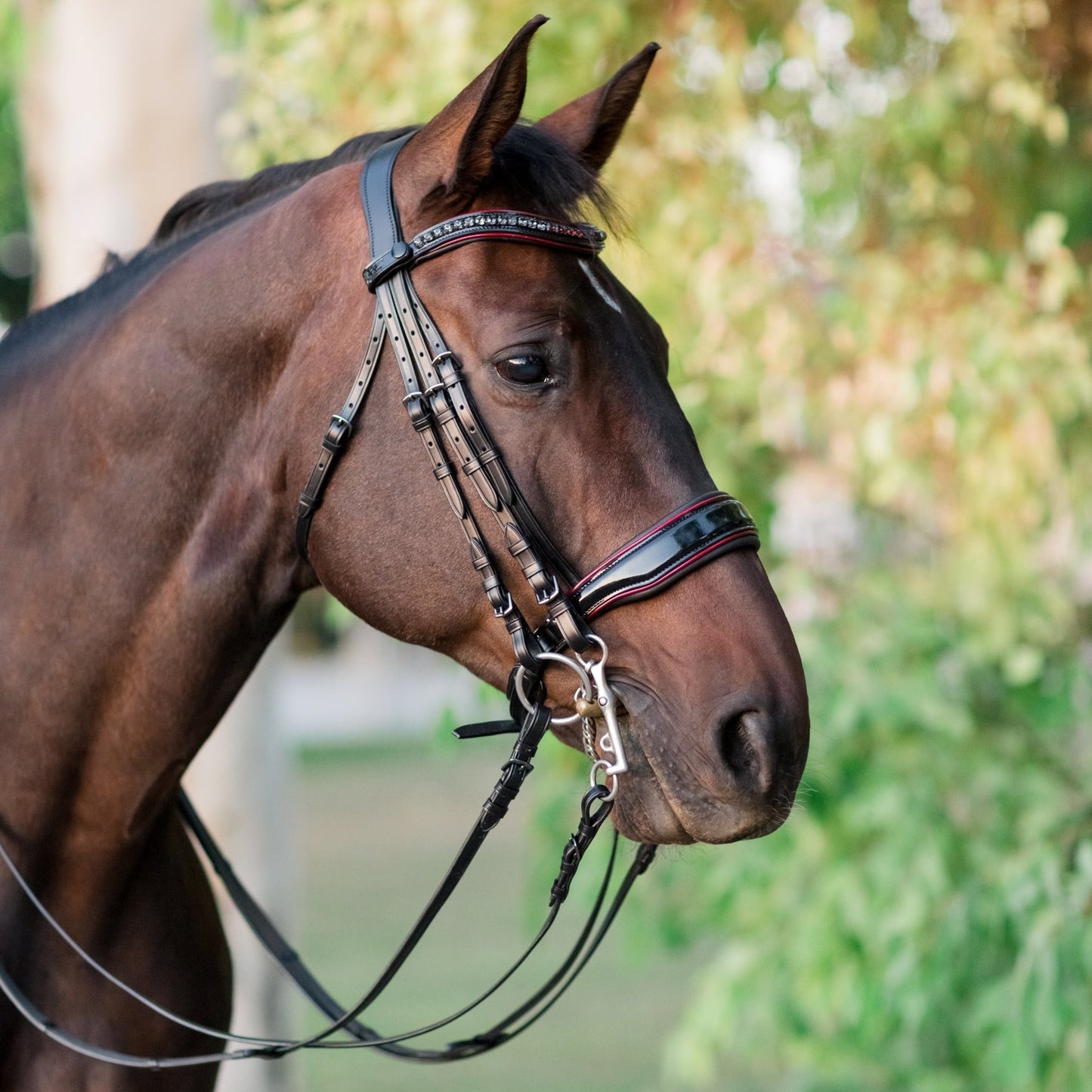 Halter Ego - The Hayworth Double - Black Patent Double Bridle