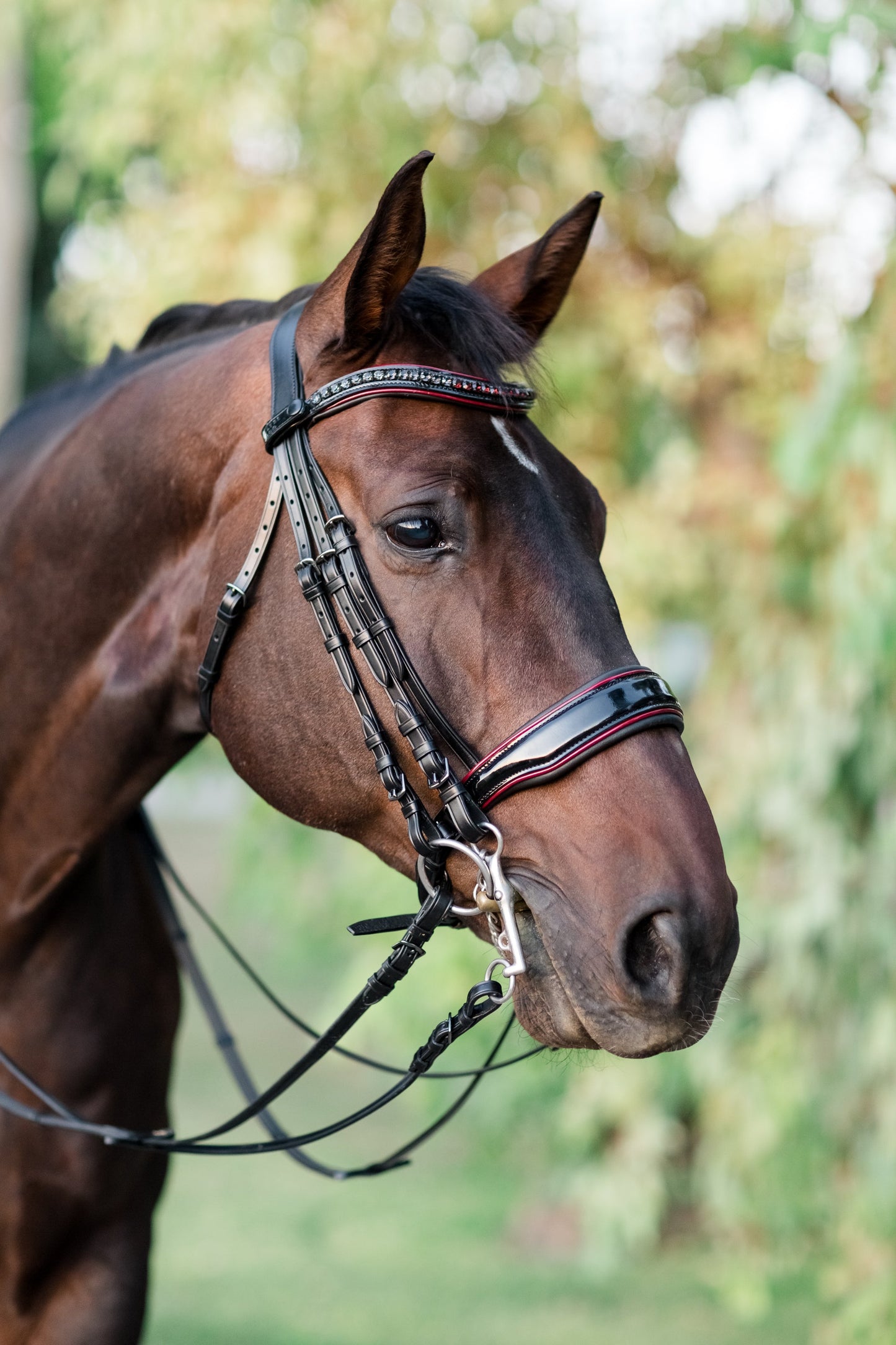 Halter Ego - The Hayworth Double - Black Patent Double Bridle