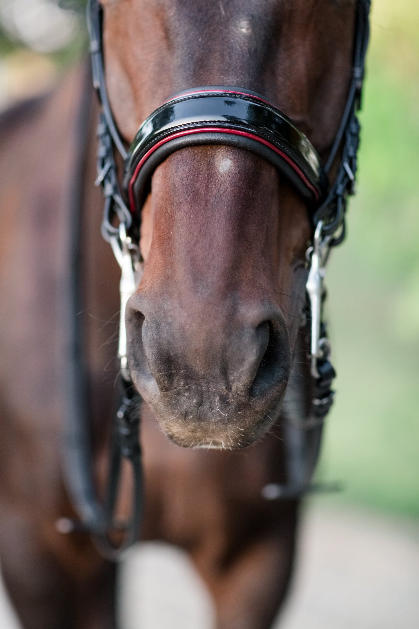 Halter Ego - The Hayworth Double - Black Patent Double Bridle