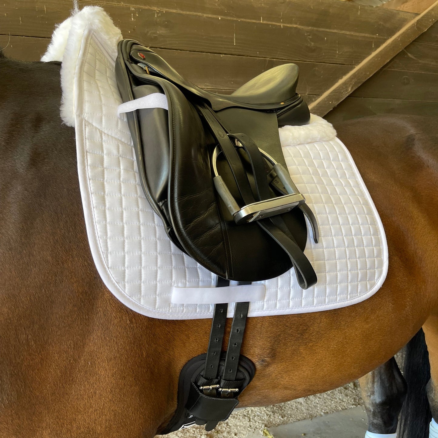 Majyk Equipe - Ergonomics Spur Saver Dressage Girth with Buckle Guards