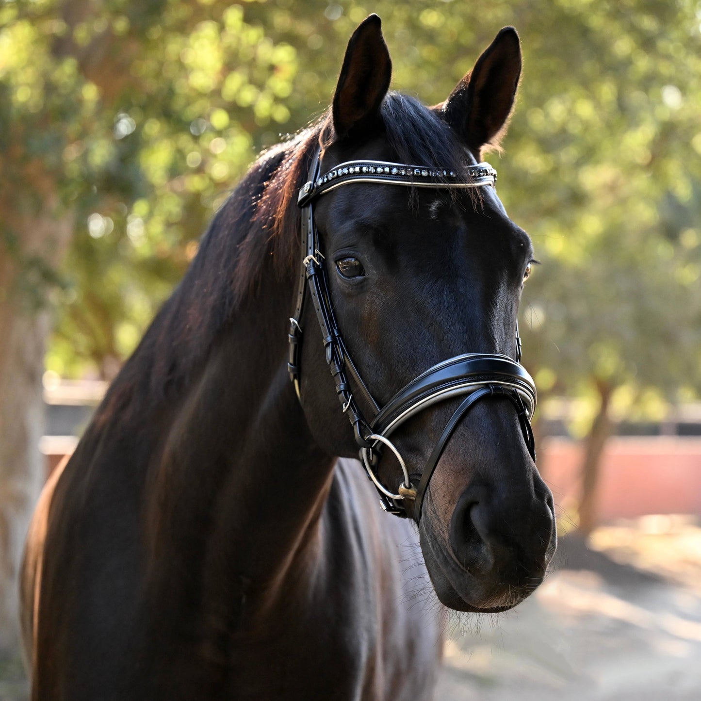 Halter Ego - The Eiffel Tower Black Leather Snaffle Bridle