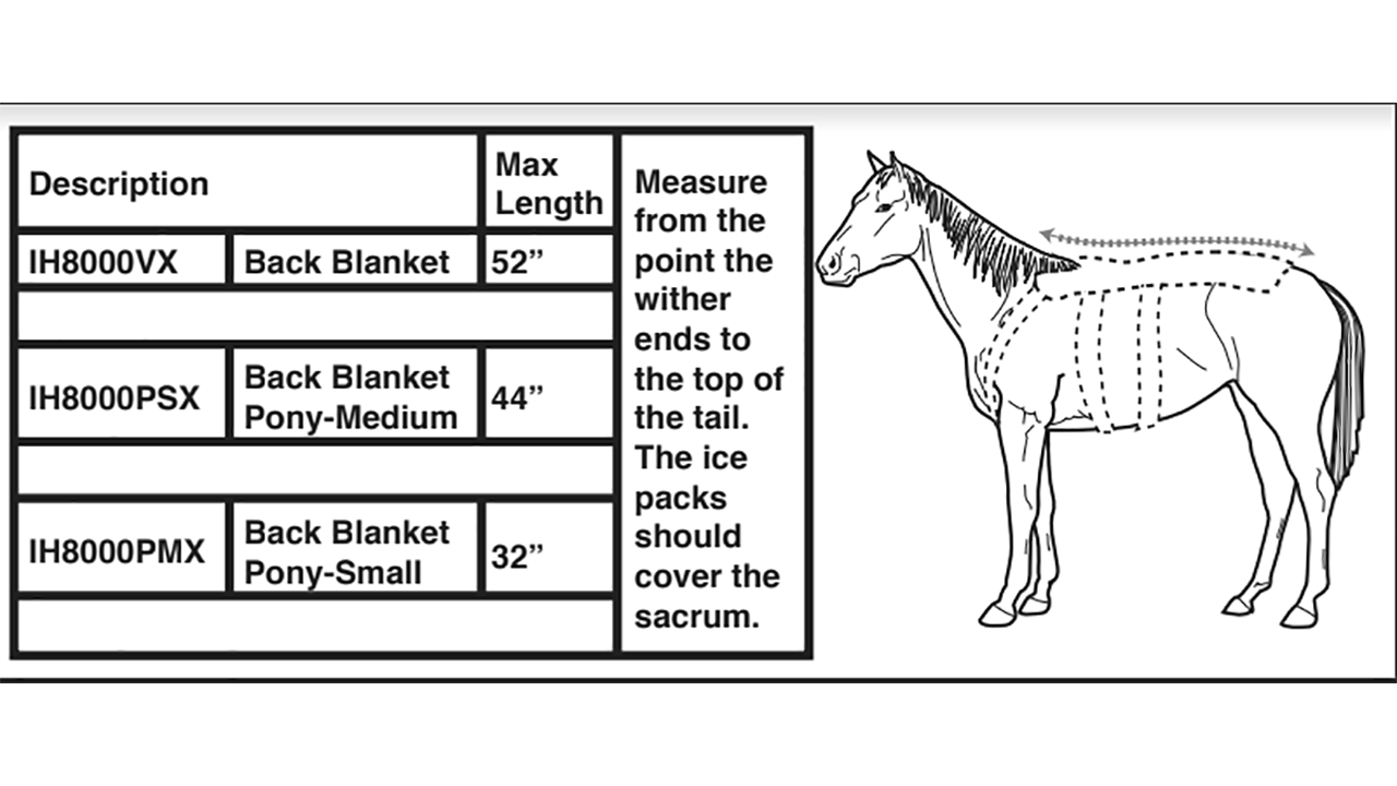 Ice Horse - Back Blanket