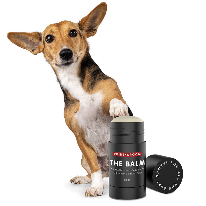 PRIDE+GROOM THE BALM Healing Pet Balm — Natural Paw & Nose Moisturizing Balm for Dogs & Cats