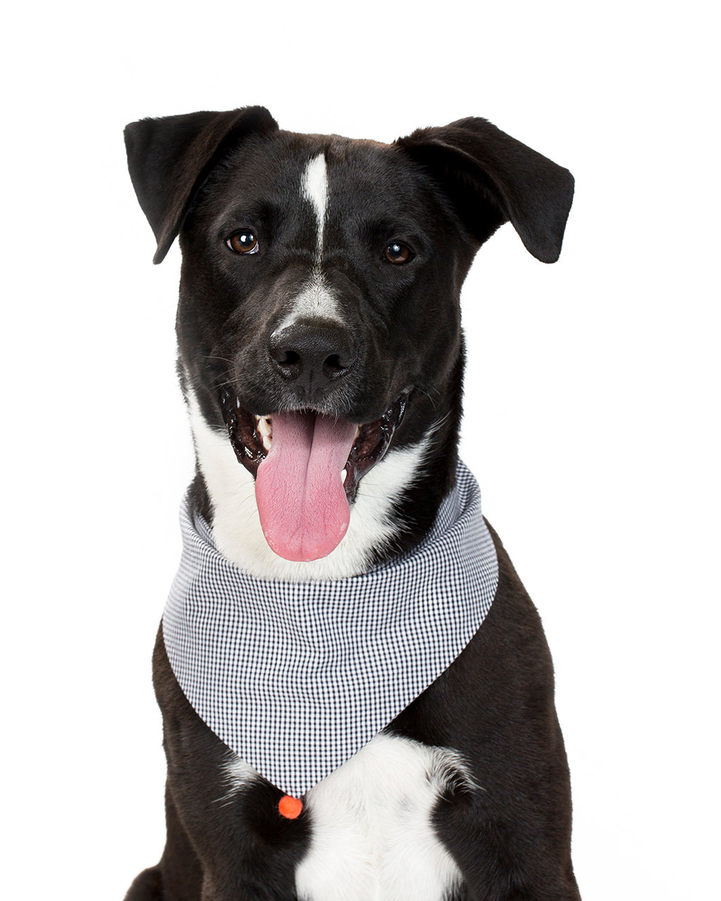 MODERNBEAST Classic Bandana