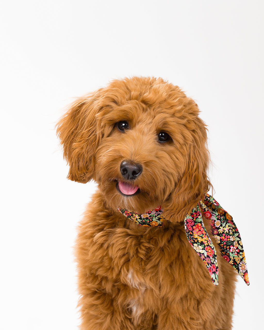 MODERNBEAST Classic Necktie