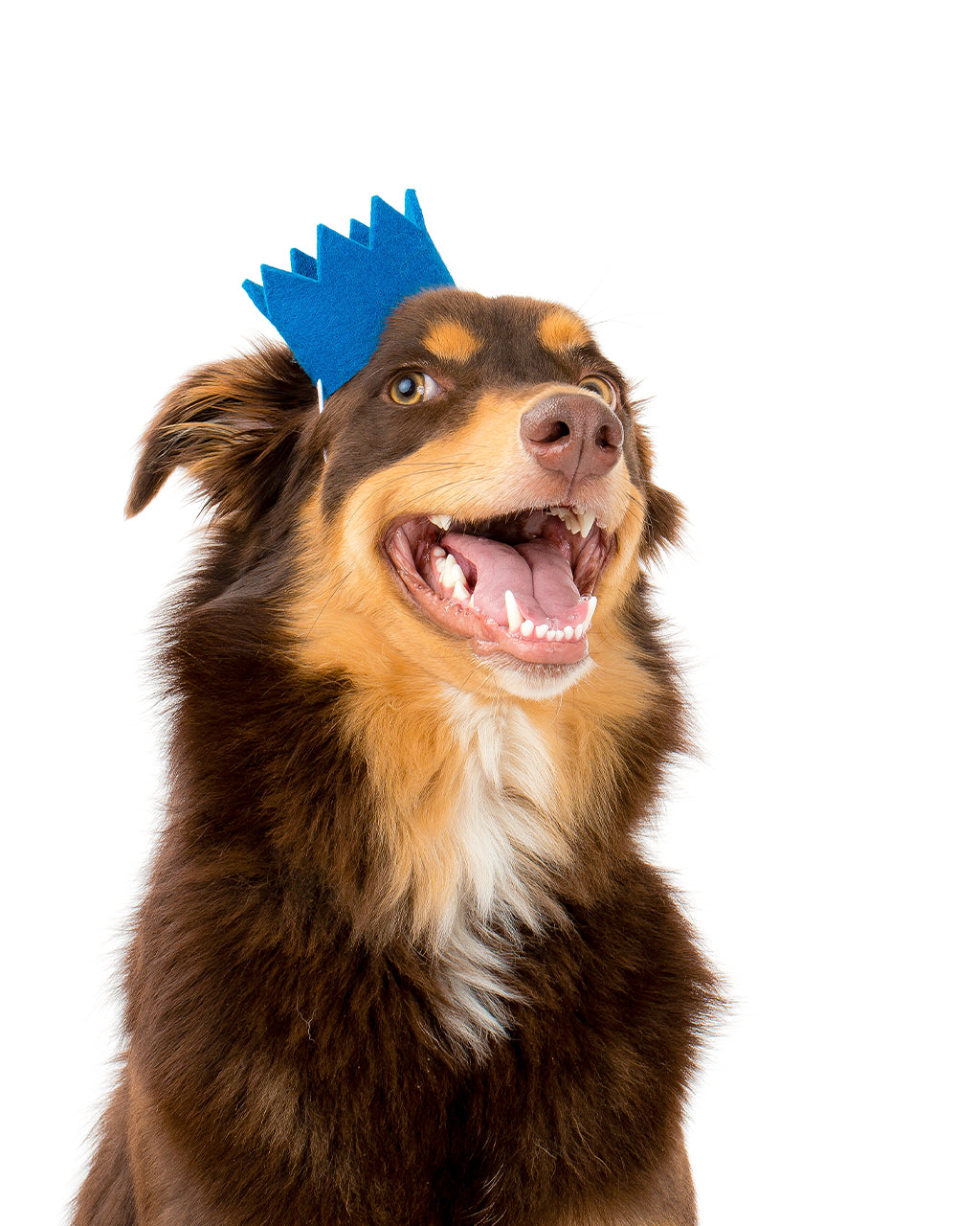 MODERNBEAST Bright Party Crowns