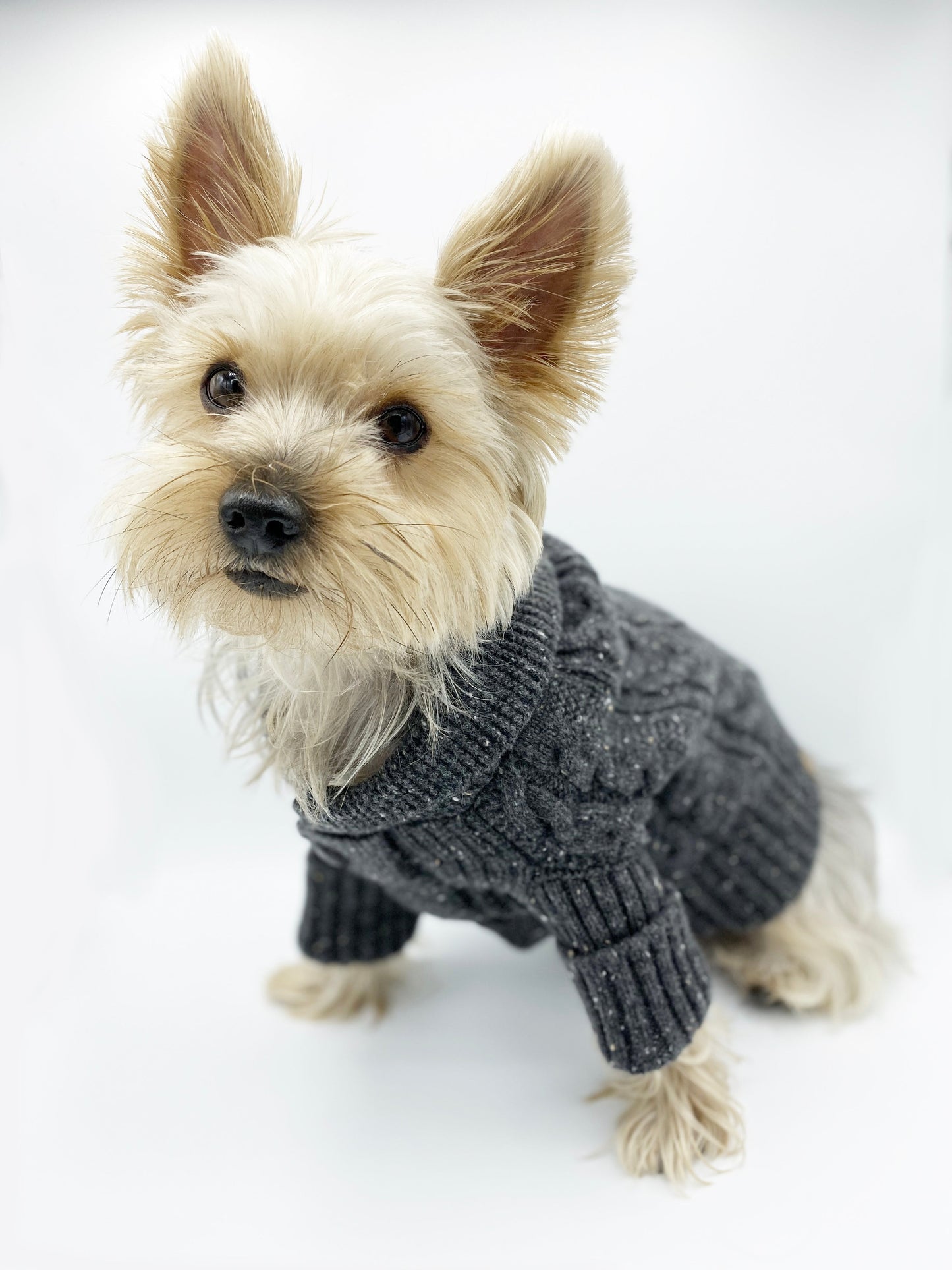 BESPOKE PAWS - Brooklyn Cashmere Cardigan, Charcoal