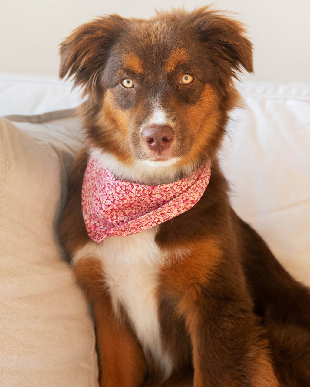 MODERNBEAST Floral Bandana