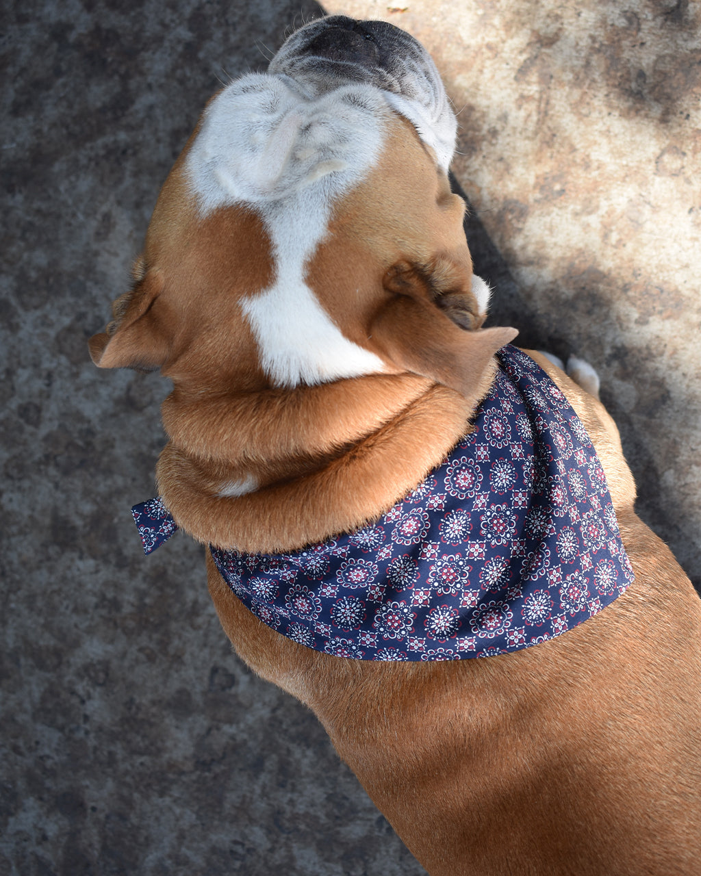 MODERNBEAST Classic Bandana