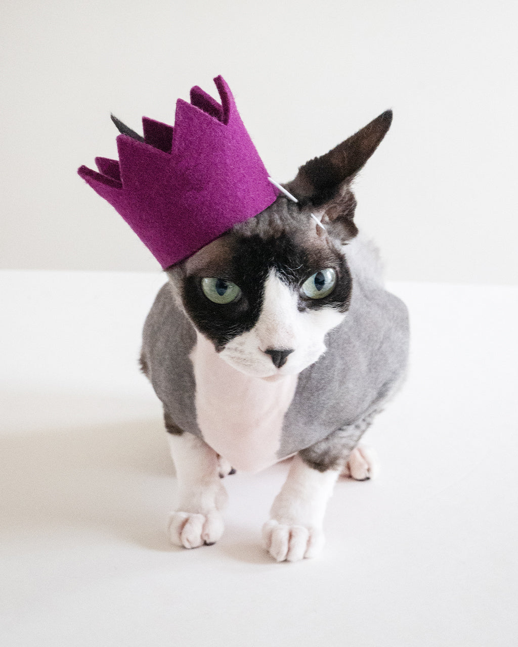 MODERNBEAST Bright Party Crowns