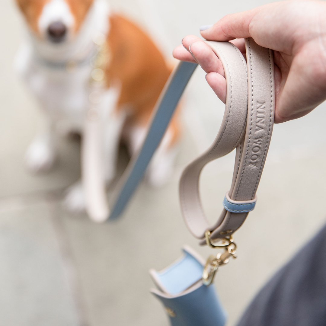 Nina Woof Leash 4ft - Vegan Leather - Cupertino