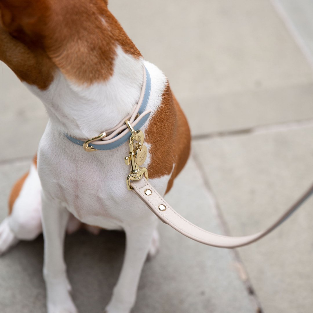 Nina Woof Leash 4ft - Vegan Leather - Cupertino