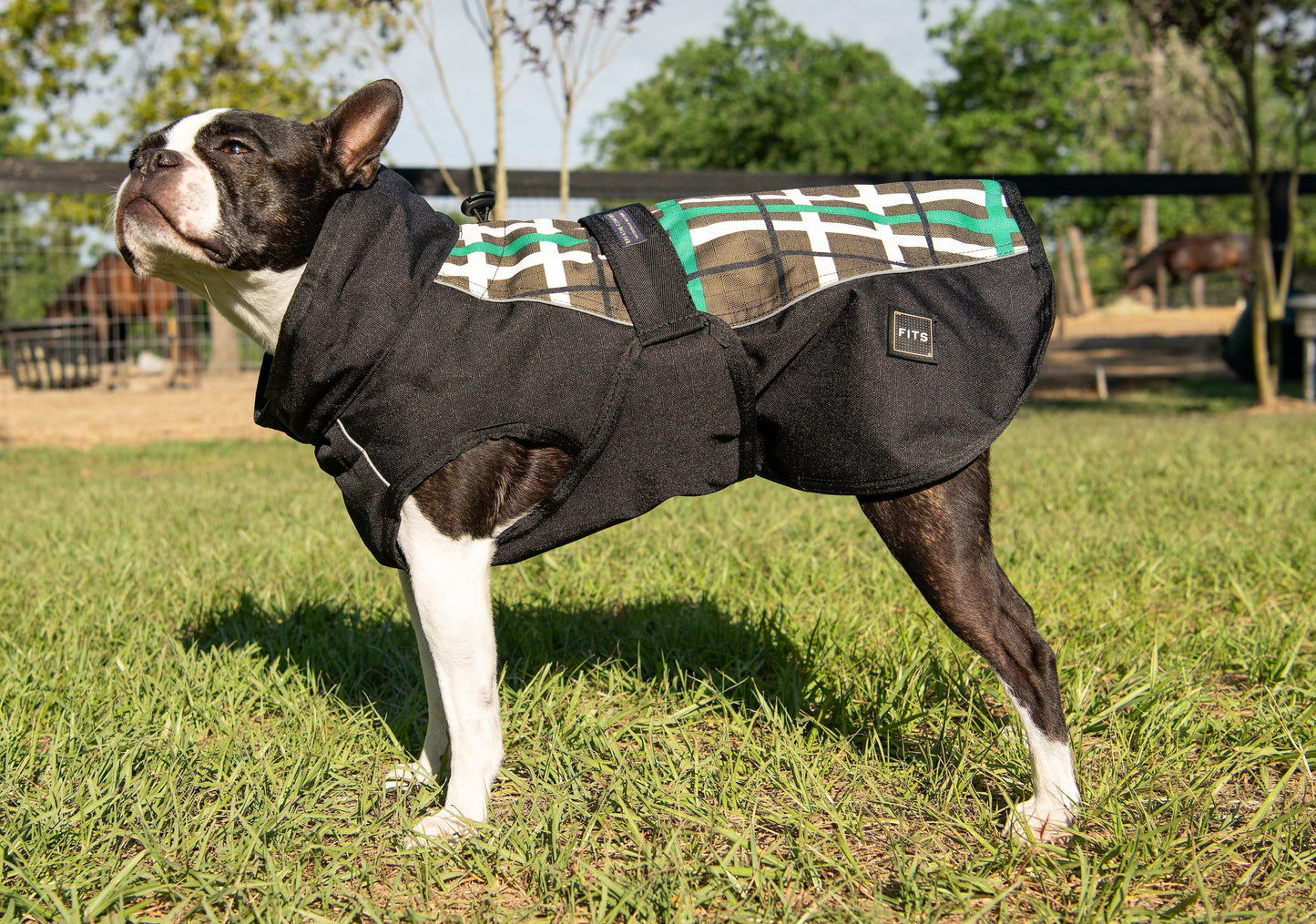 FITS Riding - All Weather Dog Coat