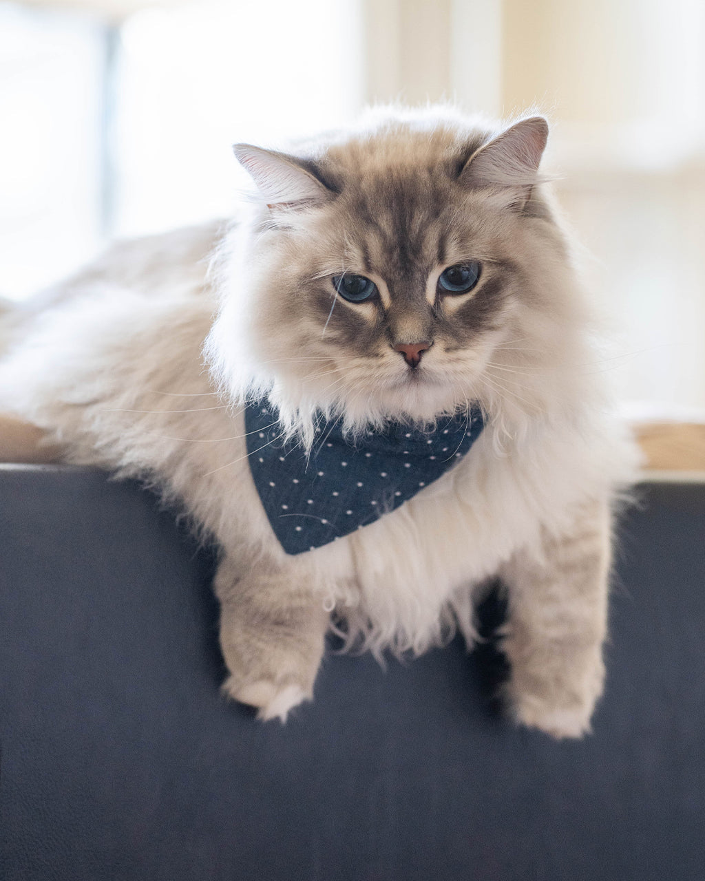 MODERNBEAST Classic Bandana