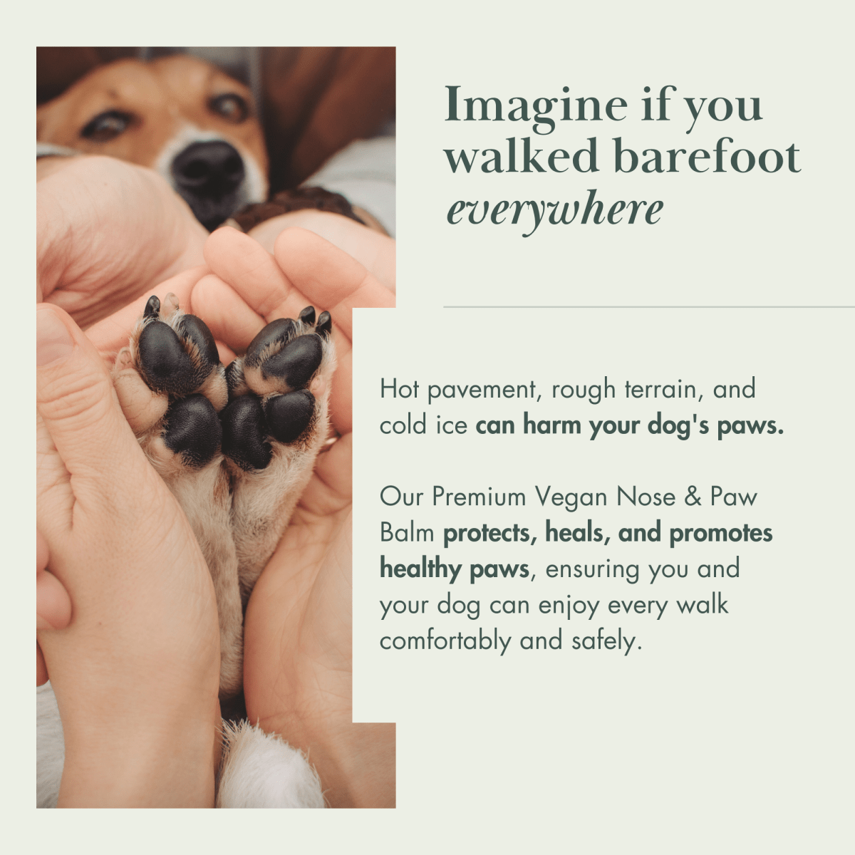 Nina Woof - Dog Vegan Nose and Paw Balm