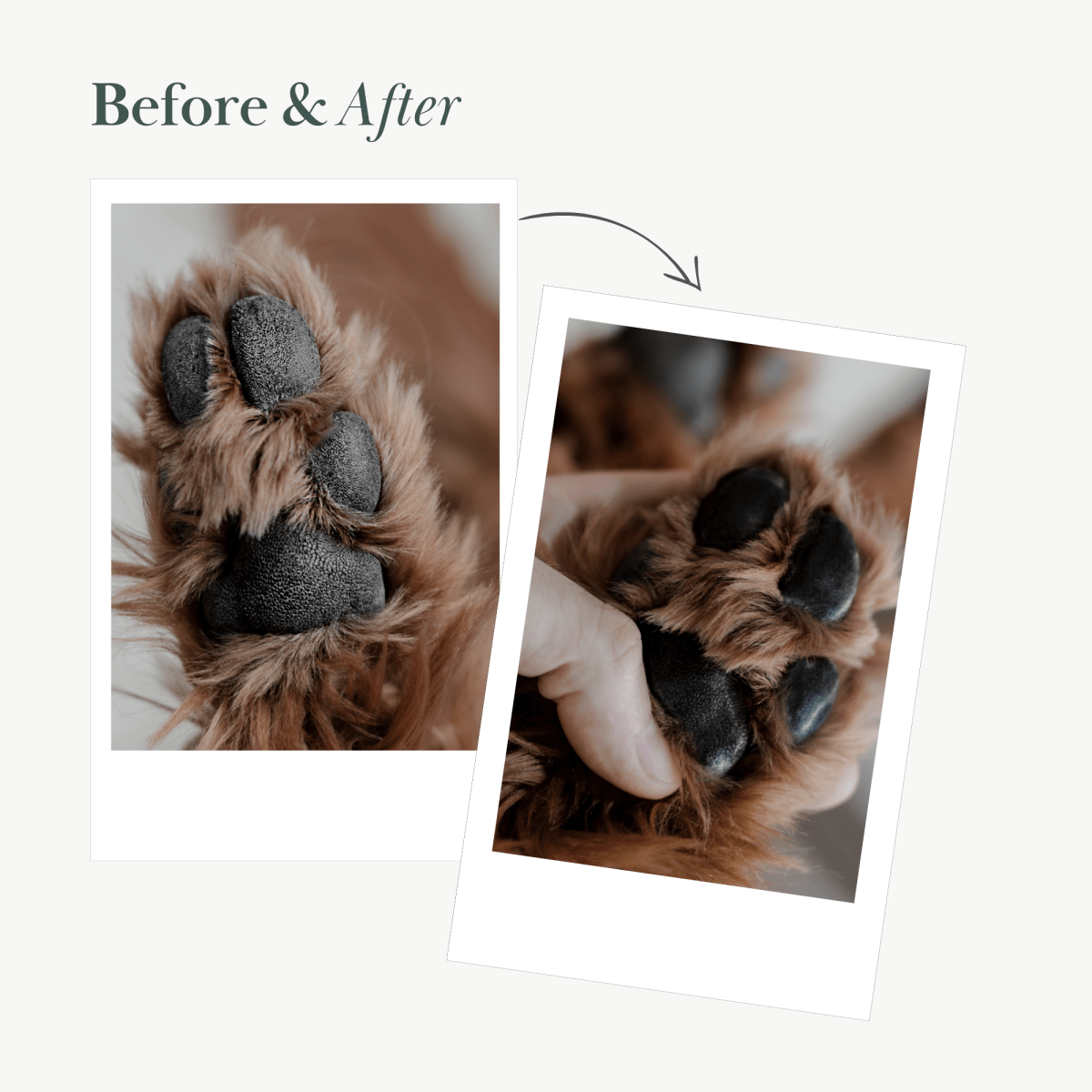 Nina Woof - Dog Vegan Nose and Paw Balm