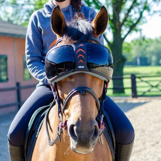 eQuick eVysor - Equine Goggles