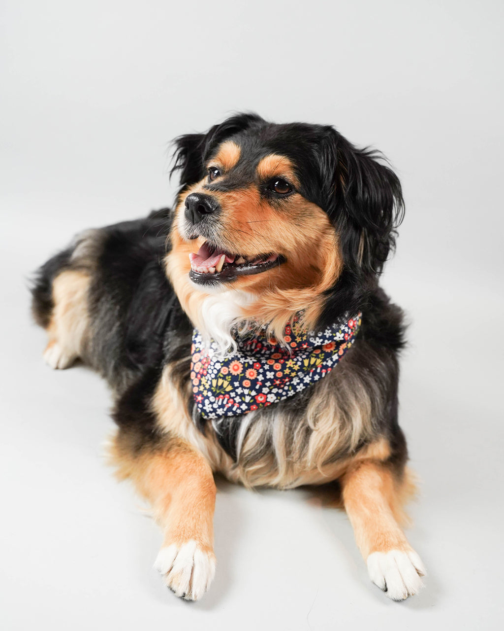 MODERNBEAST Floral Bandana