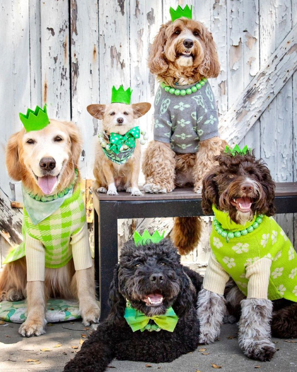 MODERNBEAST Bright Party Crowns