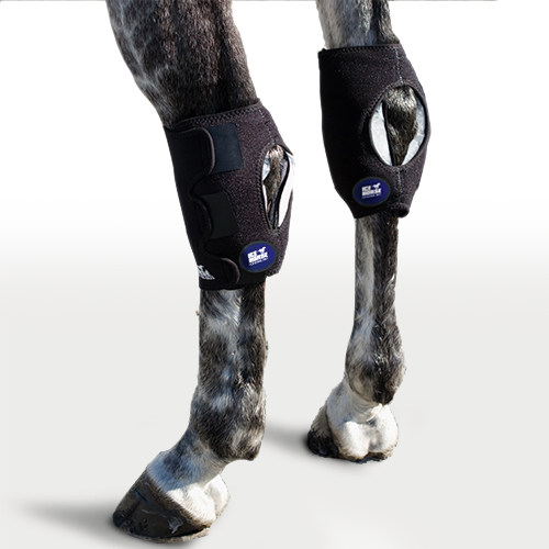 Ice Horse - Hock Wraps