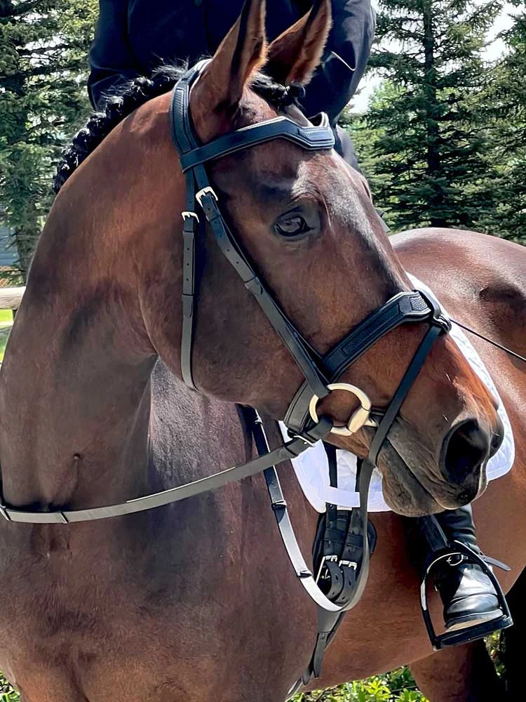 Grewal Equestrian - Cobra Snakeskin-Embossed Monocrown Bridle