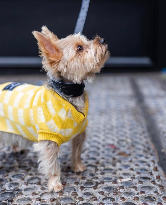 BESPOKE PAWS - BP X BH Check Sweater vest