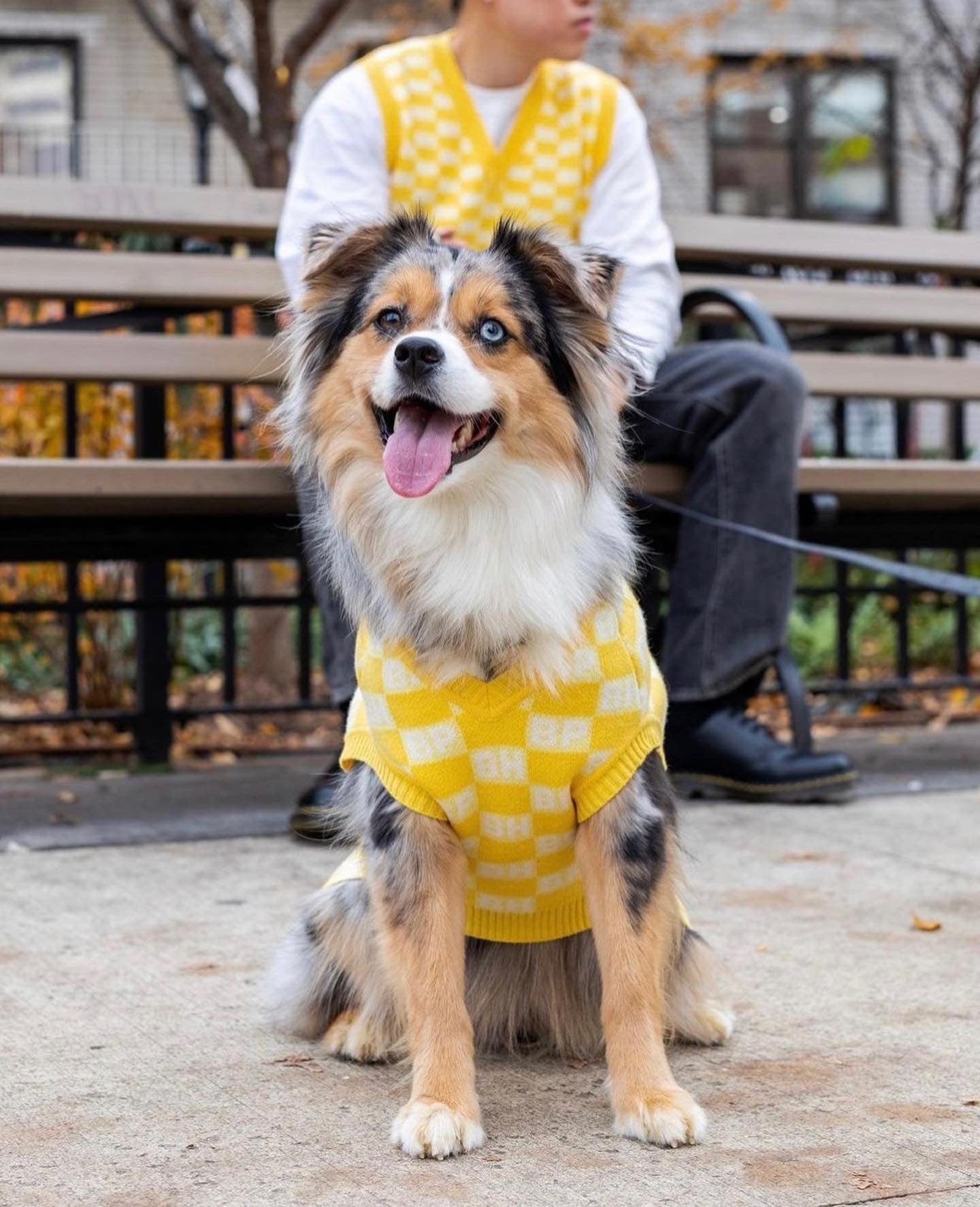 BESPOKE PAWS - BP X BH Check Sweater vest