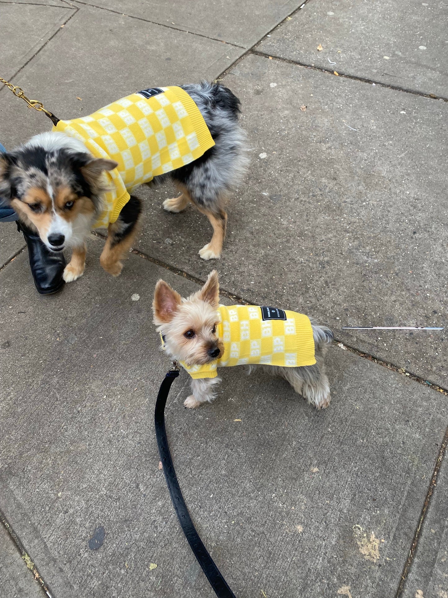 BESPOKE PAWS - BP X BH Check Sweater vest