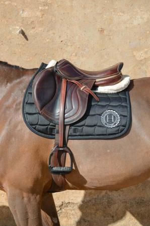 Harcour USA - Salal Saddle Pad