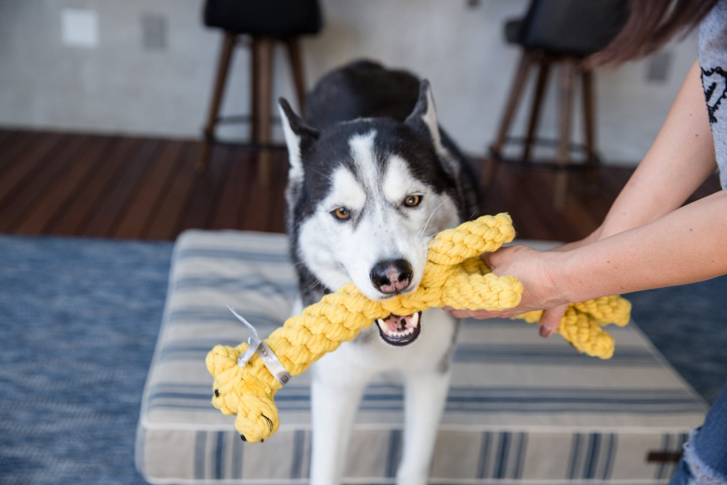 Jax & Bones - Jerry the Giraffe Rope Dog Toy