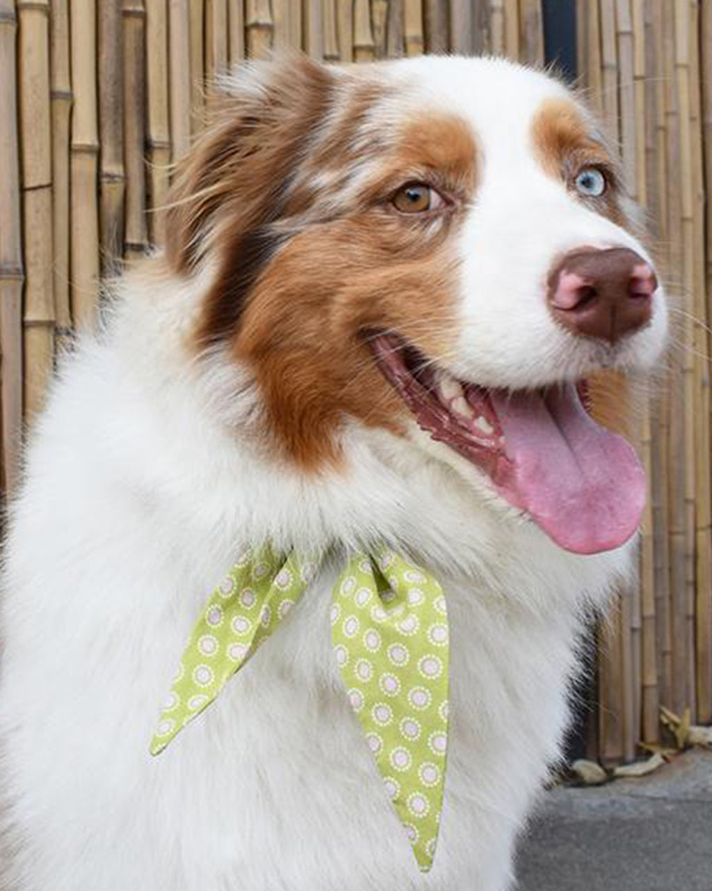 MODERNBEAST Classic Necktie