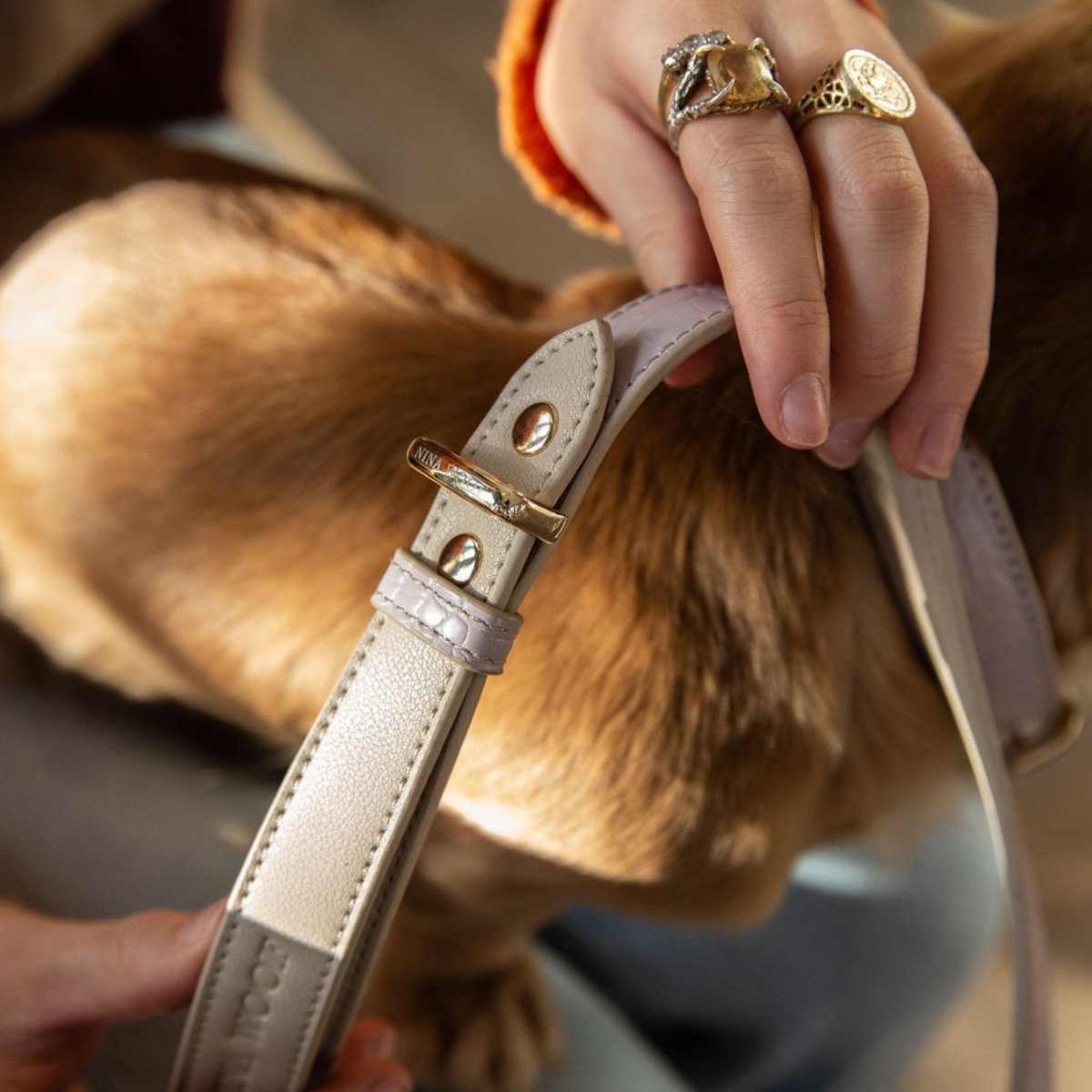 Nina Woof - Leash 4ft - Vegan Leather
