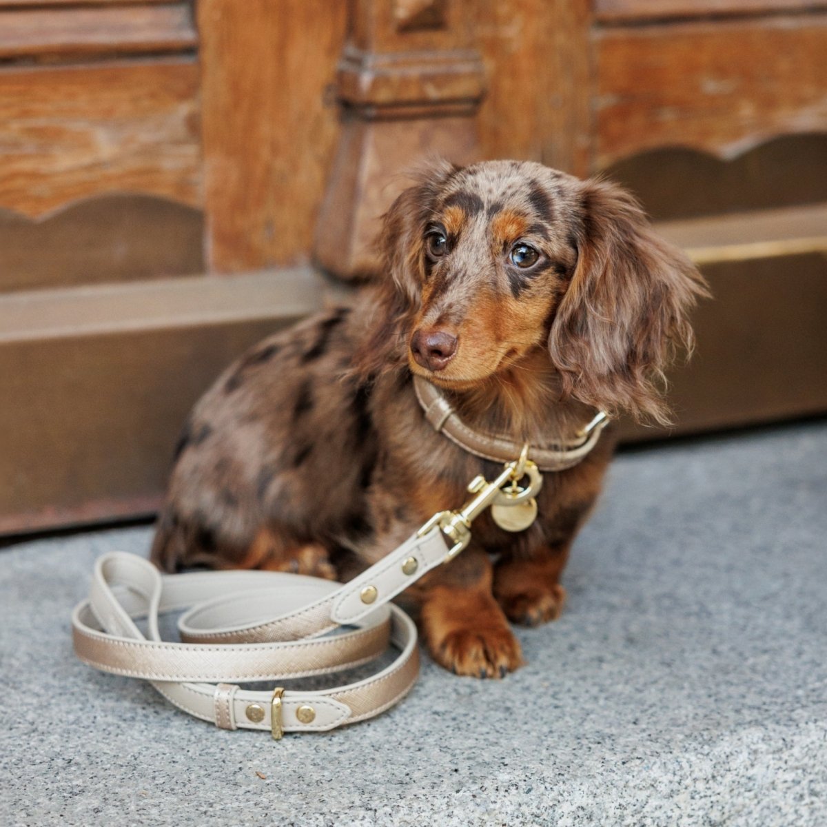 Nina Woof - Leash 4ft - Vegan Leather