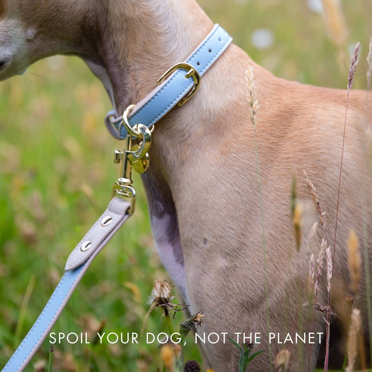 Nina Woof - Leash 4ft - Vegan Leather