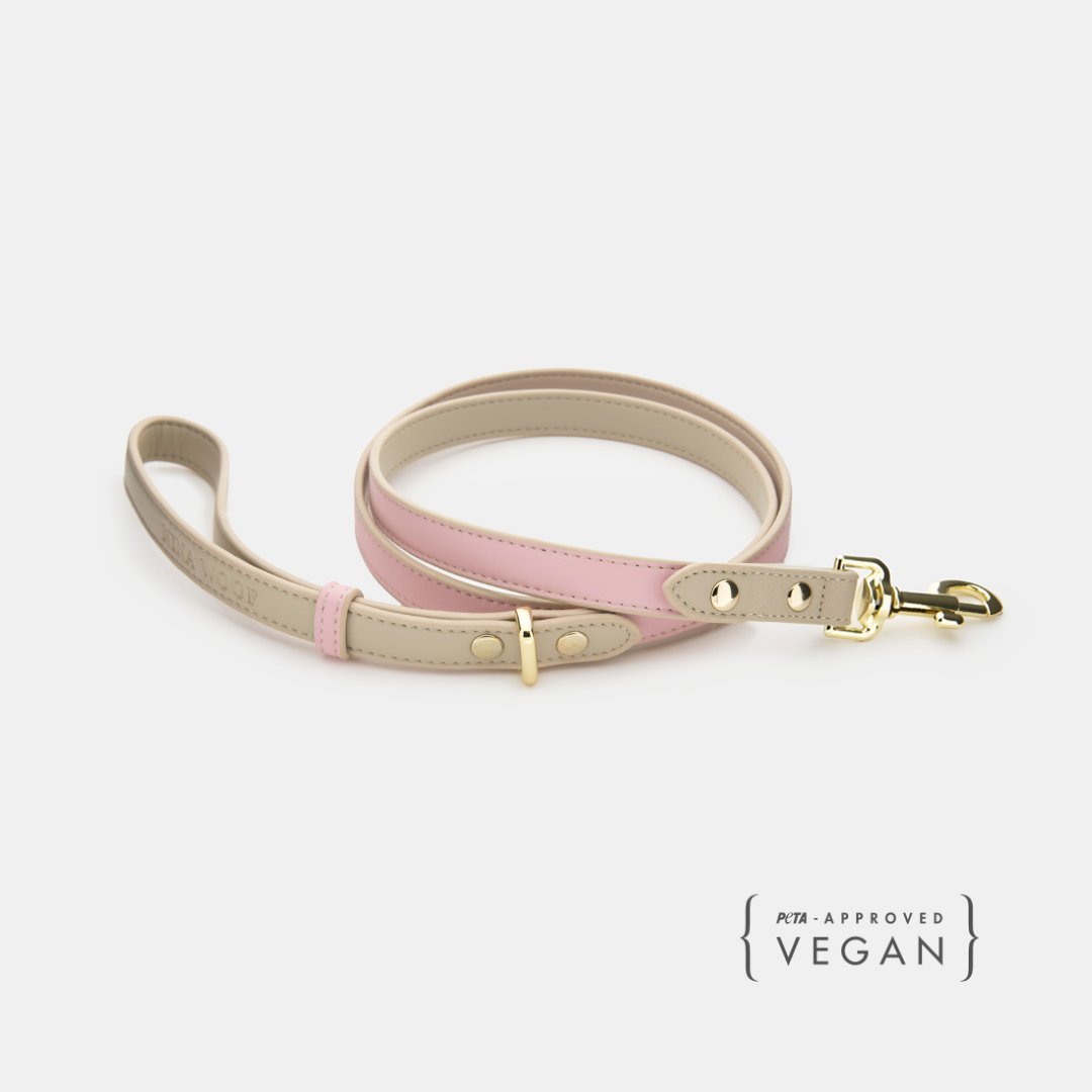 Nina Woof - Leash 4ft - Vegan Leather